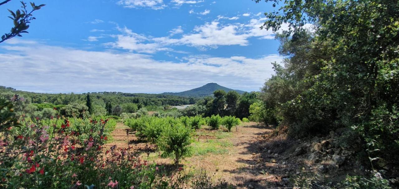 Le Beau Veze Ξενοδοχείο Carqueiranne Εξωτερικό φωτογραφία